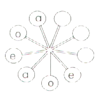 图片_x0020_10