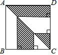 图片_x0020_100017