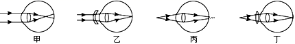 图片_x0020_100006