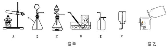 图片_x0020_100008