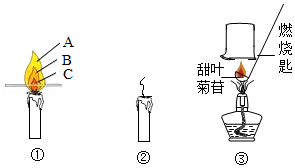 图片_x0020_1929304559