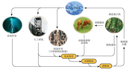 图片_x0020_1737039858