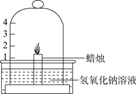 图片_x0020_100018