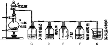 图片_x0020_100019