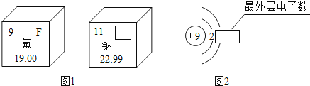_x0000_i1026