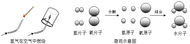 图片_x0020_100010