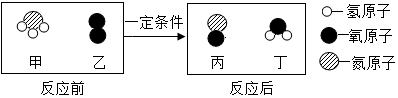 图片_x0020_100005