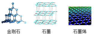 图片_x0020_1701019765