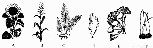 图片_x0020_10