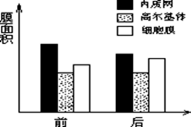 图片_x0020_982160913