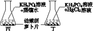 图片_x0020_1430766139