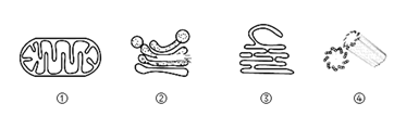 图片_x0020_100010