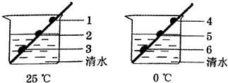 图片_x0020_100010