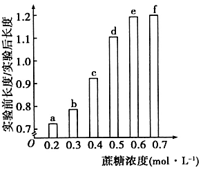图片_x0020_320070415