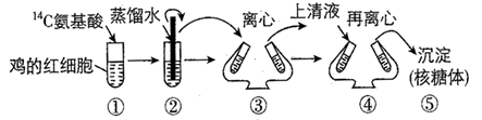 图片_x0020_100006
