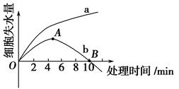 图片_x0020_100001