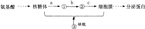 图片_x0020_865246938