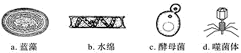 图片_x0020_100001