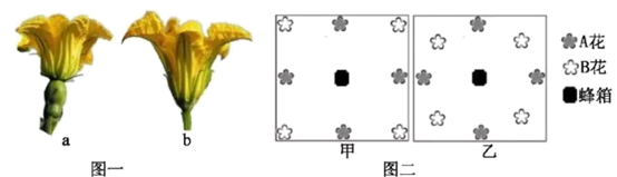 图片_x0020_100008