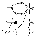 图片_x0020_2070344193