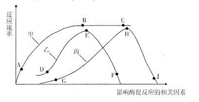 图片_x0020_1376774122