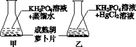 图片_x0020_2054256690