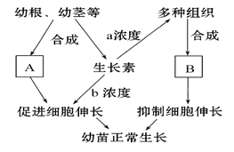 图片_x0020_1972396541