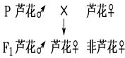 图片_x0020_1499349038