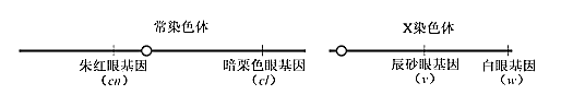 图片_x0020_100003
