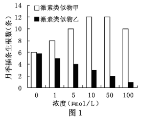 图片_x0020_1974399516