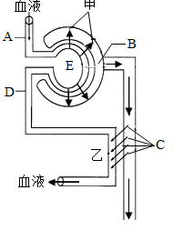图片_x0020_100019