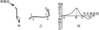 图片_x0020_100004