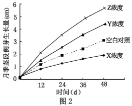 图片_x0020_1100382461