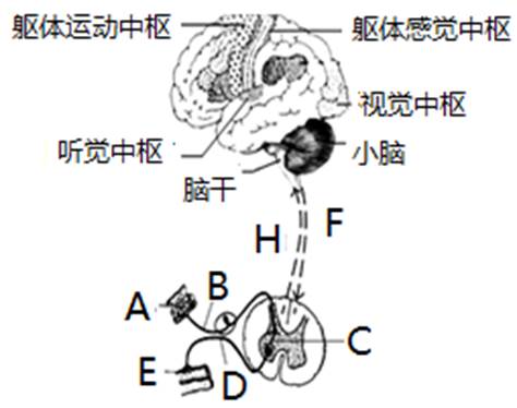 图片_x0020_100025