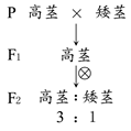 图片_x0020_1838974011