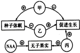 图片_x0020_1742418141