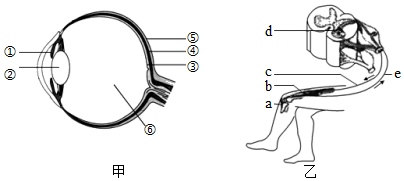 图片_x0020_100017