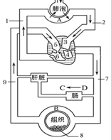 图片_x0020_100017