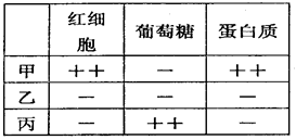 图片_x0020_100004