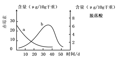 图片_x0020_1183755730