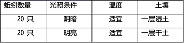 图片_x0020_1241910398