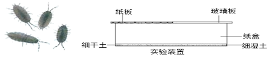 图片_x0020_100001