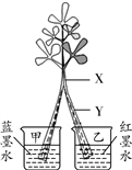 图片_x0020_1605826927
