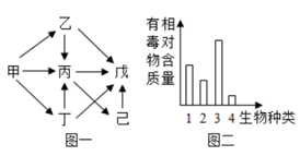 图片_x0020_100008