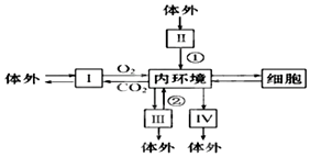 图片_x0020_100001