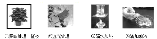 图片_x0020_100013