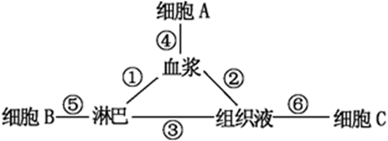 图片_x0020_100001