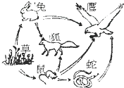 图片_x0020_23