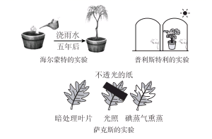 图片_x0020_498322878