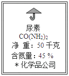 图片_x0020_53